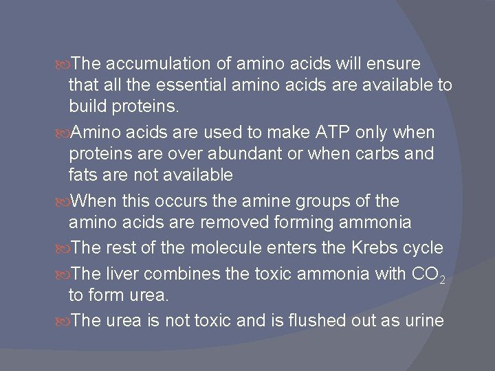 The accumulation of amino acids will ensure that all the essential amino acids The accumulation of amino acids will ensure that all the essential amino acids