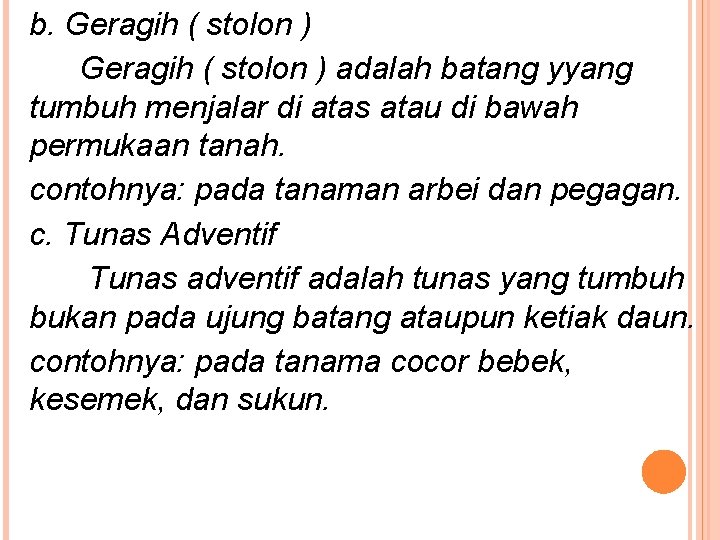 b. Geragih ( stolon ) adalah batang yyang tumbuh menjalar di atas atau di