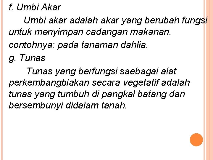 f. Umbi Akar Umbi akar adalah akar yang berubah fungsi untuk menyimpan cadangan makanan.