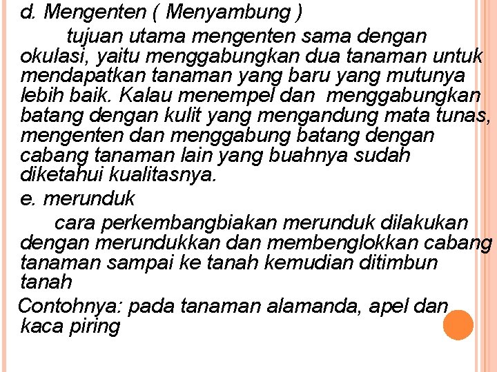 d. Mengenten ( Menyambung ) tujuan utama mengenten sama dengan okulasi, yaitu menggabungkan dua