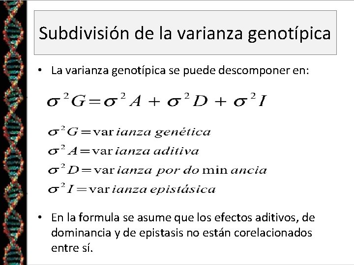 Subdivisión de la varianza genotípica • La varianza genotípica se puede descomponer en: •