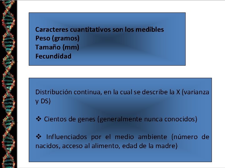 Caracteres cuantitativos son los medibles Peso (gramos) Tamaño (mm) Fecundidad Distribución continua, en la