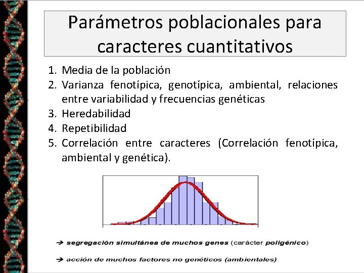 Parámetros poblacionales para caracteres cuantitativos 1. Media de la población 2. Varianza fenotípica, genotípica,