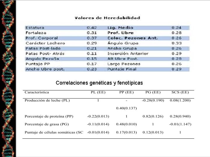 Correlaciones genéticas y fenotípicas 