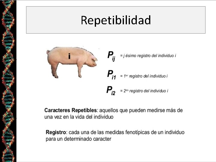 Repetibilidad 