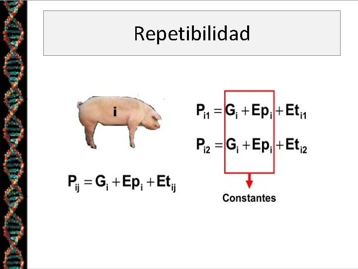 Repetibilidad 