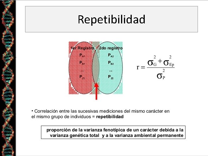 Repetibilidad 