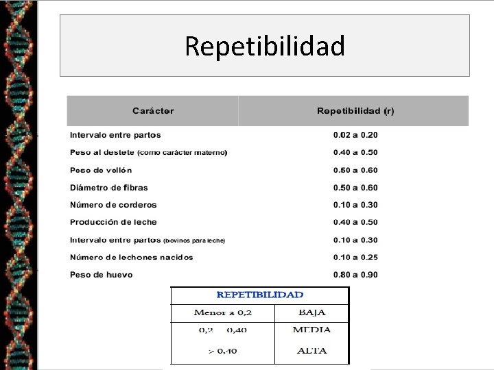 Repetibilidad 