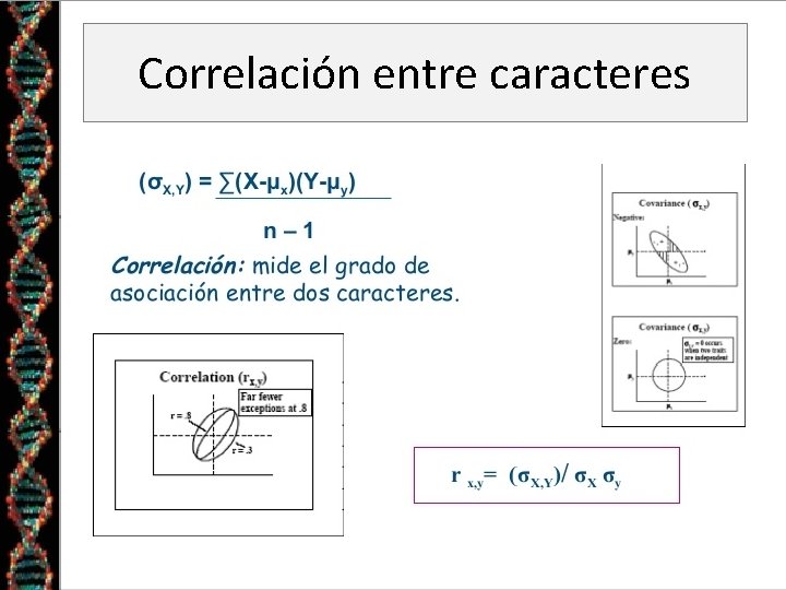 Correlación entre caracteres 