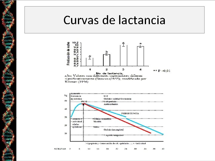 Curvas de lactancia 