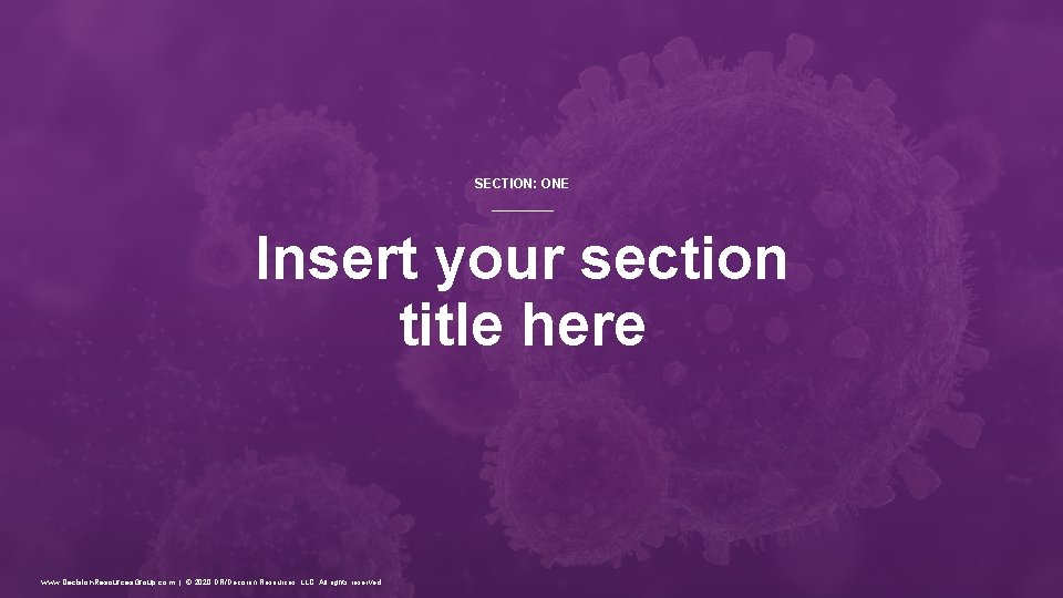 SECTION: ONE Insert your section title here www. Decision. Resources. Group. com | © SECTION: ONE Insert your section title here www. Decision. Resources. Group. com | ©