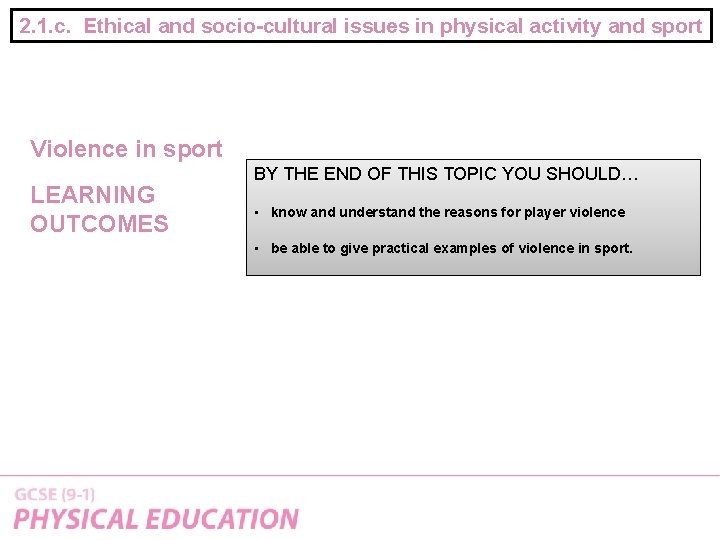 2. 1. c. Ethical and socio-cultural issues in physical activity and sport Violence in