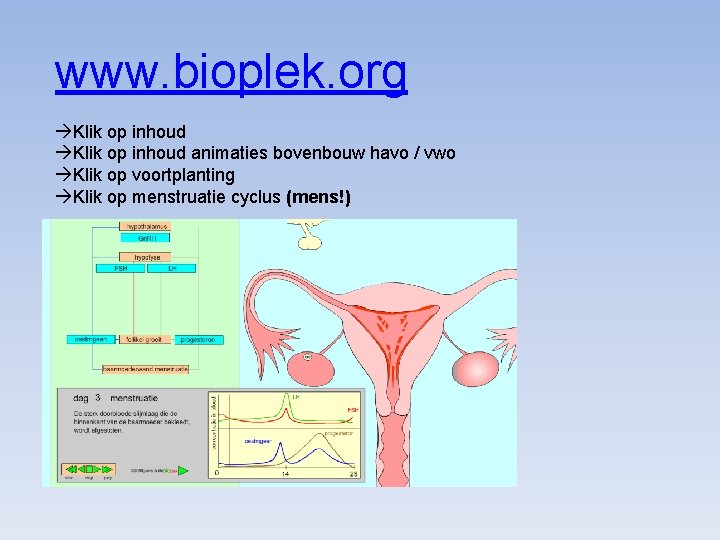 www. bioplek. org Klik op inhoud animaties bovenbouw havo / vwo Klik op voortplanting
