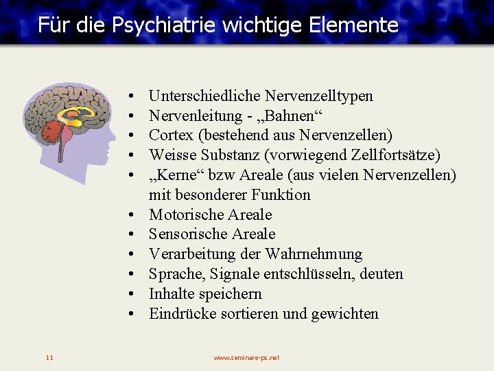 Für die Psychiatrie wichtige Elemente • • • 11 Unterschiedliche Nervenzelltypen Nervenleitung - „Bahnen“