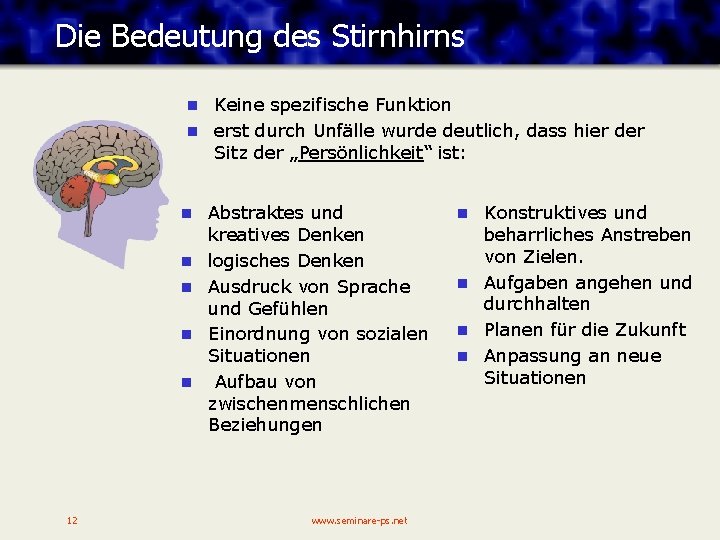 Die Bedeutung des Stirnhirns Keine spezifische Funktion n erst durch Unfälle wurde deutlich, dass