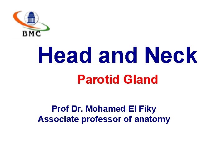 Head and Neck Parotid Gland Prof Dr. Mohamed El Fiky Associate professor of anatomy