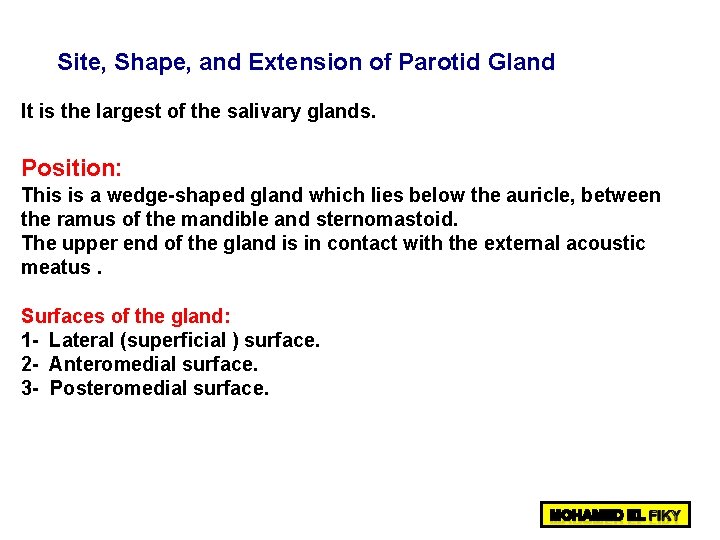 Site, Shape, and Extension of Parotid Gland It is the largest of the salivary