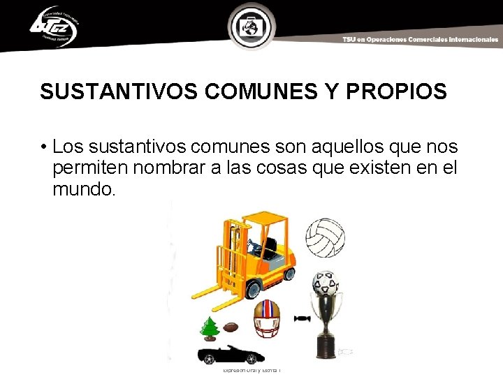 SUSTANTIVOS COMUNES Y PROPIOS • Los sustantivos comunes son aquellos que nos permiten nombrar