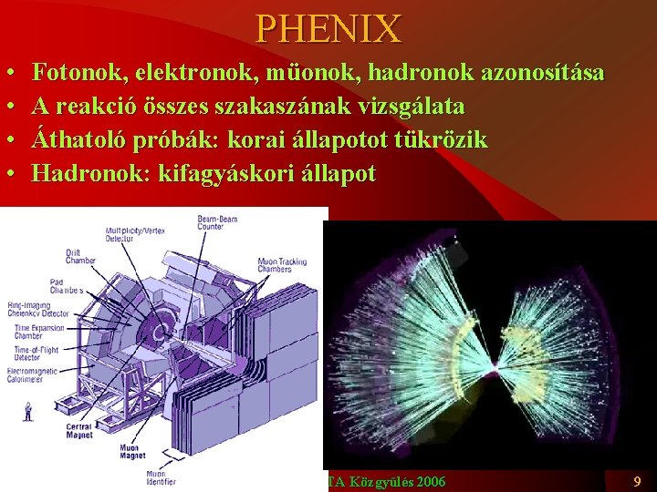 PHENIX • • Fotonok, elektronok, müonok, hadronok azonosítása A reakció összes szakaszának vizsgálata Áthatoló