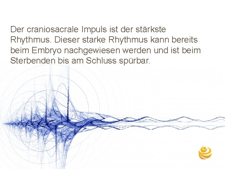 Der craniosacrale Impuls ist der stärkste Rhythmus. Dieser starke Rhythmus kann bereits beim Embryo