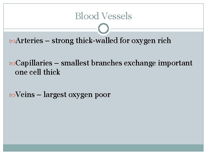 Blood Vessels Arteries – strong thick-walled for oxygen rich Capillaries – smallest branches exchange