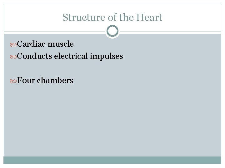 Structure of the Heart Cardiac muscle Conducts electrical impulses Four chambers 