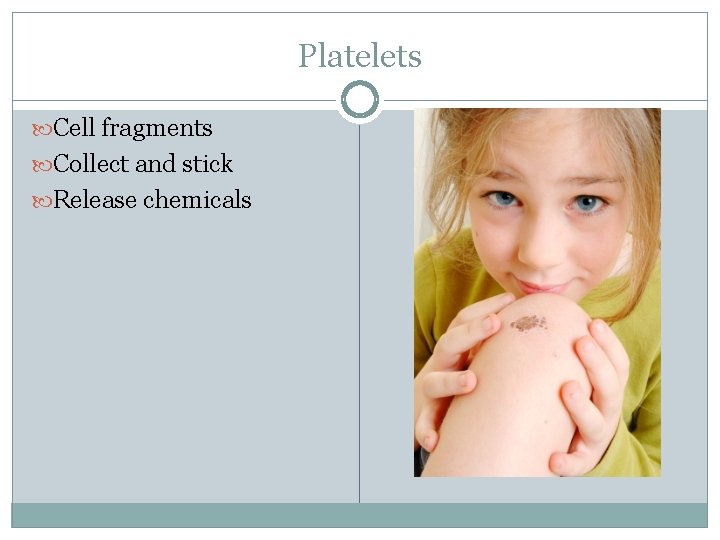 Platelets Cell fragments Collect and stick Release chemicals 