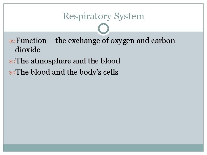 Respiratory System Function – the exchange of oxygen and carbon dioxide The atmosphere and