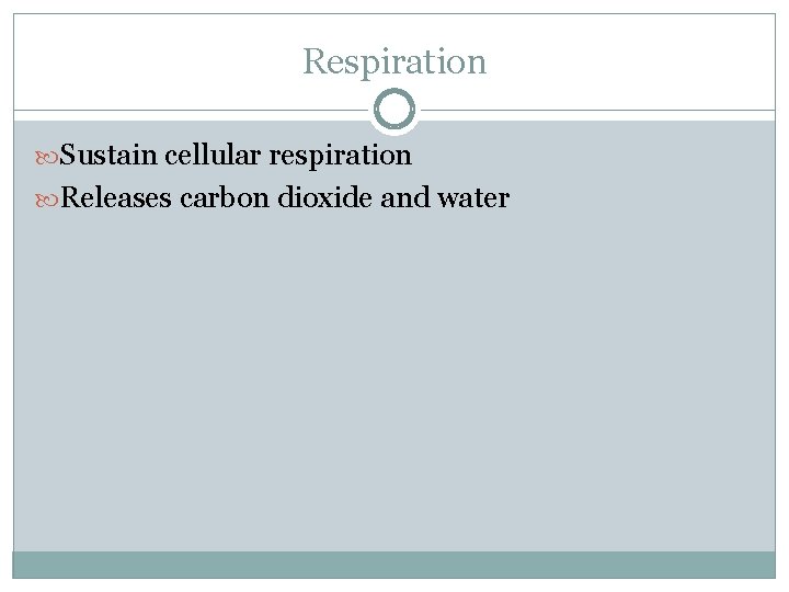 Respiration Sustain cellular respiration Releases carbon dioxide and water 