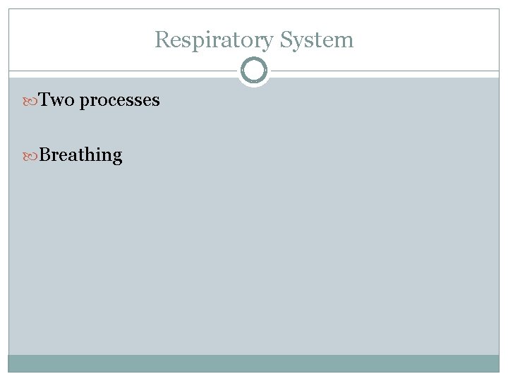 Respiratory System Two processes Breathing 