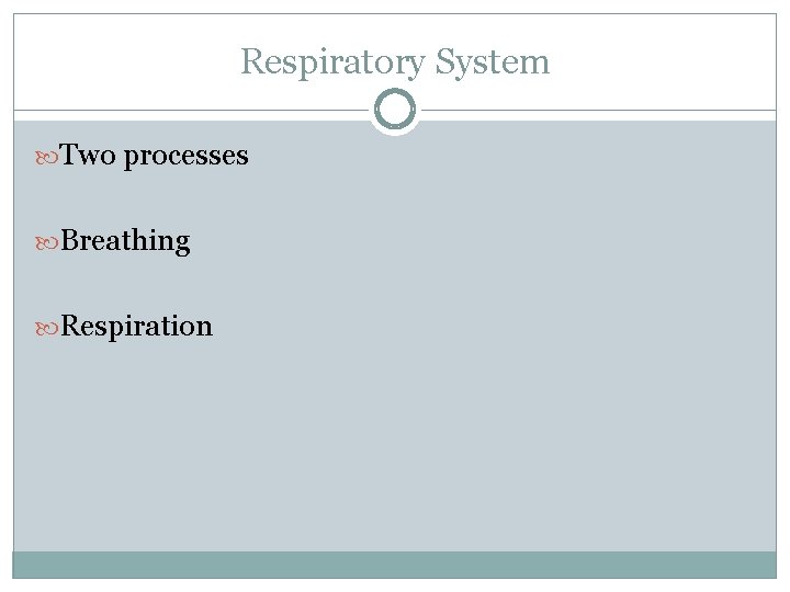 Respiratory System Two processes Breathing Respiration 