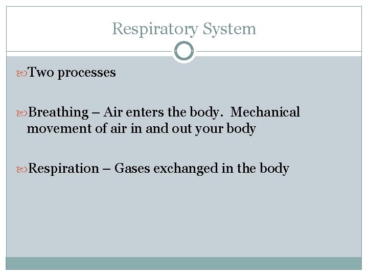 Respiratory System Two processes Breathing – Air enters the body. Mechanical movement of air