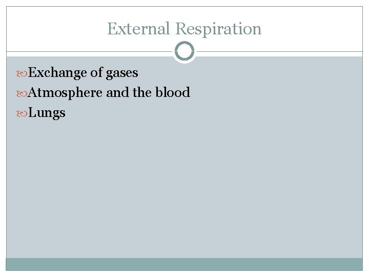 External Respiration Exchange of gases Atmosphere and the blood Lungs 