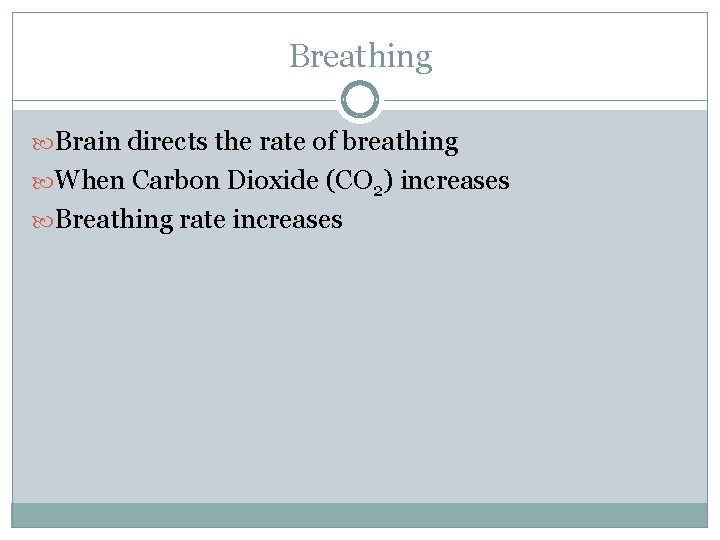 Breathing Brain directs the rate of breathing When Carbon Dioxide (CO 2) increases Breathing