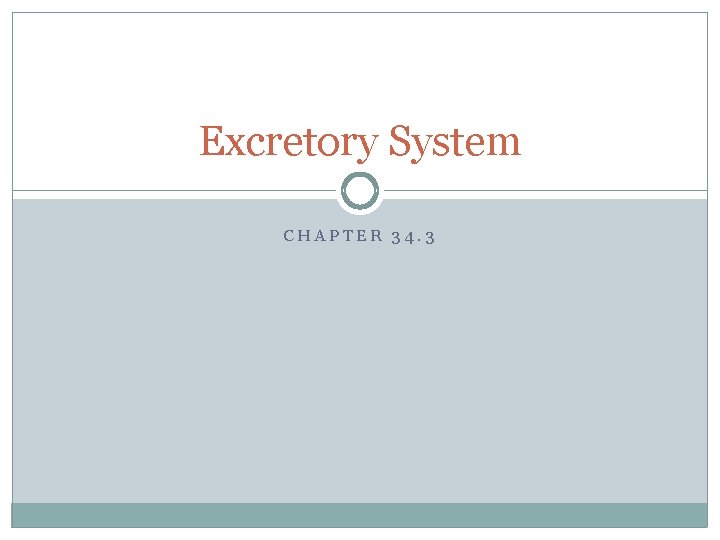 Excretory System CHAPTER 34. 3 