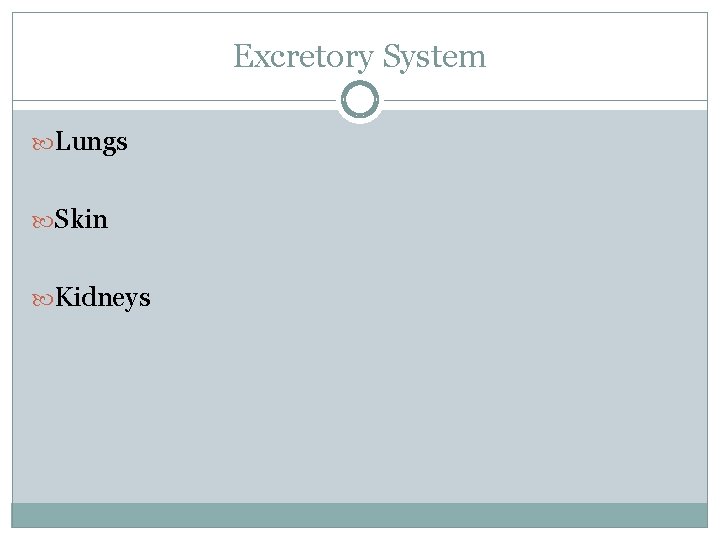 Excretory System Lungs Skin Kidneys 