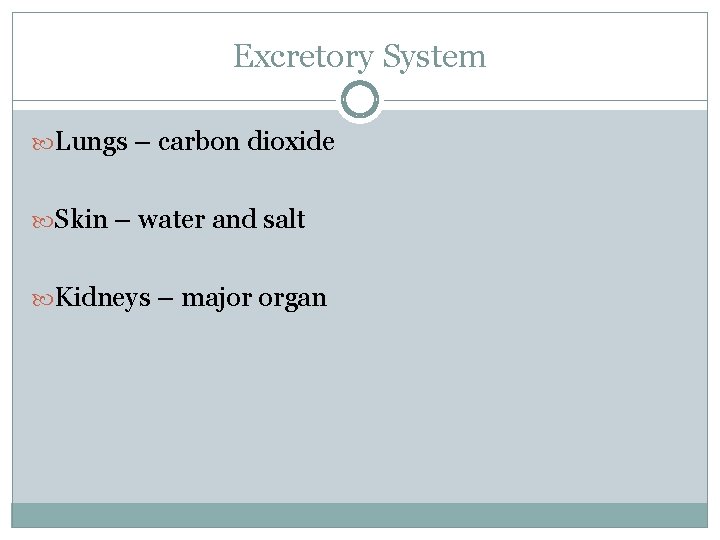 Excretory System Lungs – carbon dioxide Skin – water and salt Kidneys – major