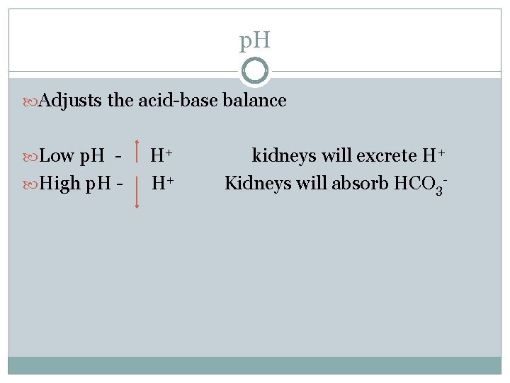 p. H Adjusts the acid-base balance Low p. H High p. H - H+