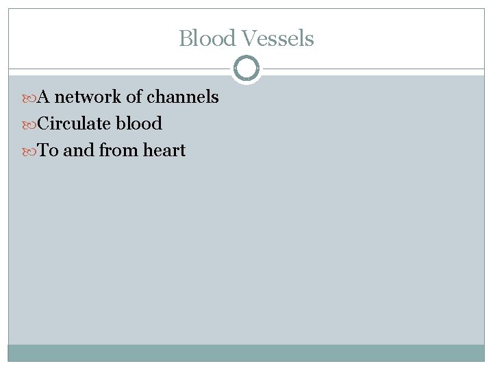 Blood Vessels A network of channels Circulate blood To and from heart 