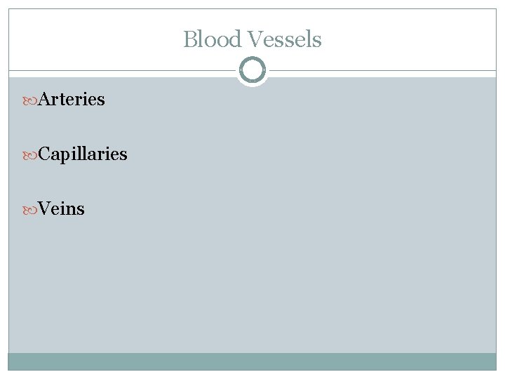 Blood Vessels Arteries Capillaries Veins 