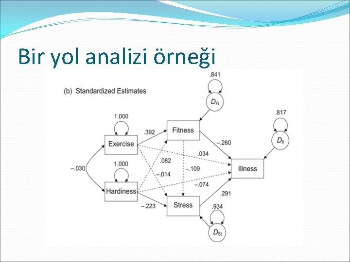 Bir yol analizi örneği 