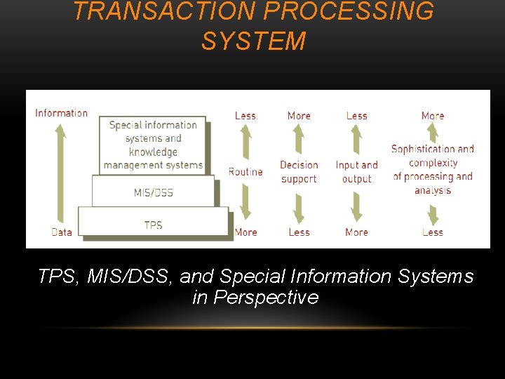 TRANSACTION PROCESSING SYSTEM TPS, MIS/DSS, and Special Information Systems in Perspective 