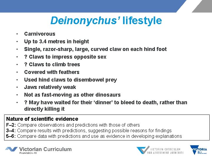 Deinonychus’ lifestyle • • • Carnivorous Up to 3. 4 metres in height Single,