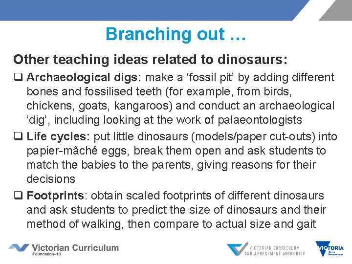 Branching out … Other teaching ideas related to dinosaurs: q Archaeological digs: make a
