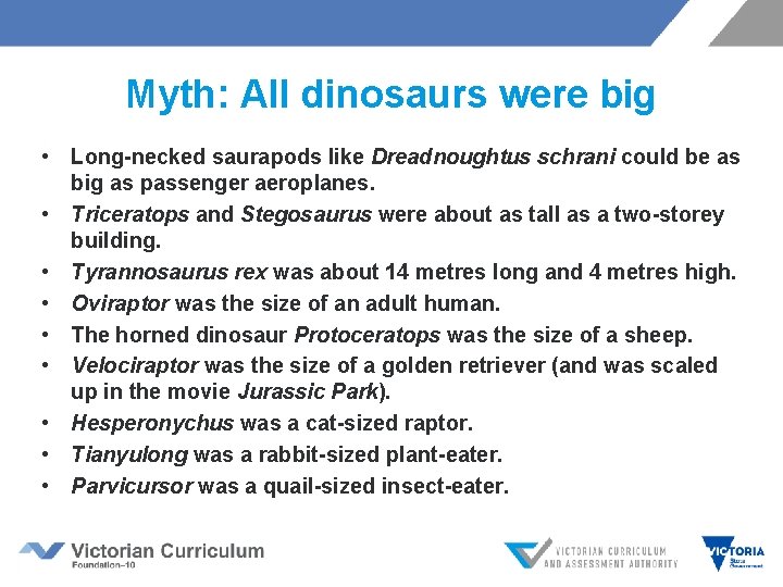 Myth: All dinosaurs were big • Long-necked saurapods like Dreadnoughtus schrani could be as