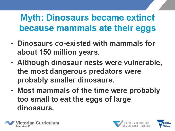 Myth: Dinosaurs became extinct because mammals ate their eggs • Dinosaurs co-existed with mammals