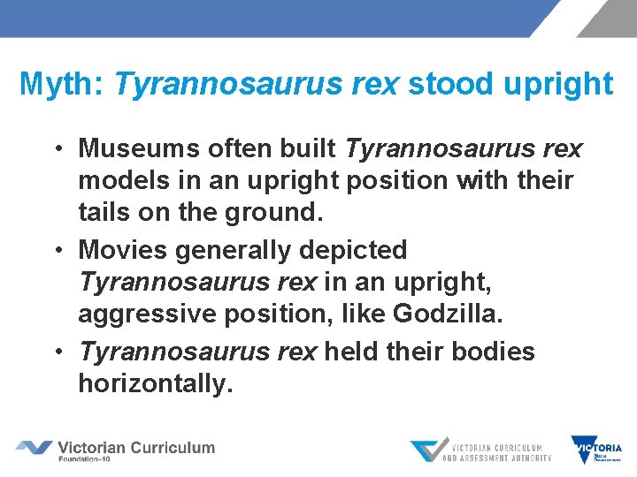 Myth: Tyrannosaurus rex stood upright • Museums often built Tyrannosaurus rex models in an