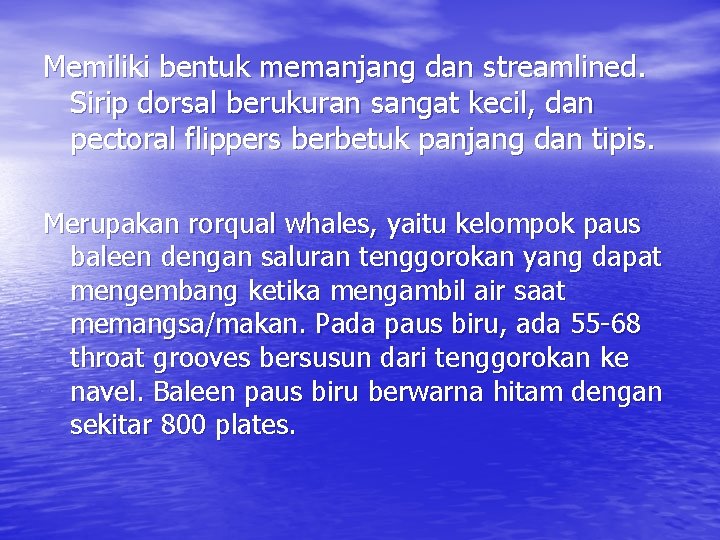 Memiliki bentuk memanjang dan streamlined. Sirip dorsal berukuran sangat kecil, dan pectoral flippers berbetuk