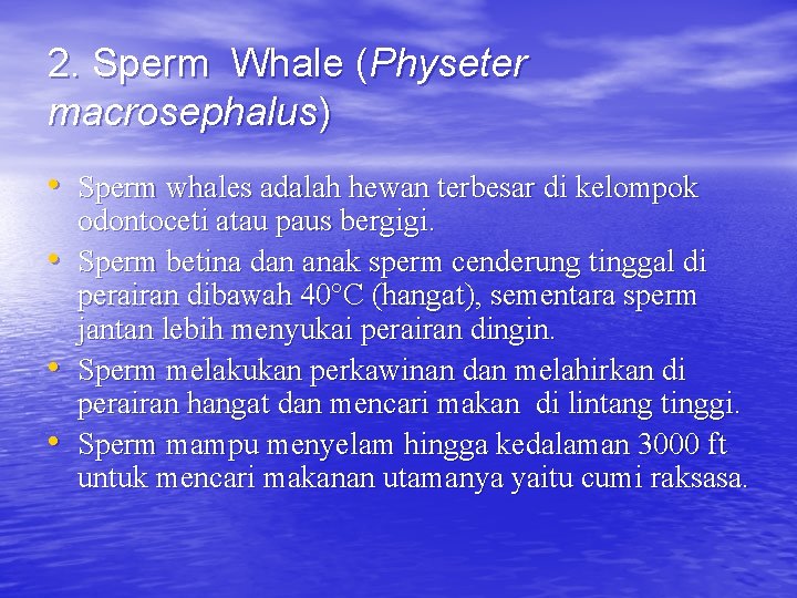 2. Sperm Whale (Physeter macrosephalus) • Sperm whales adalah hewan terbesar di kelompok •