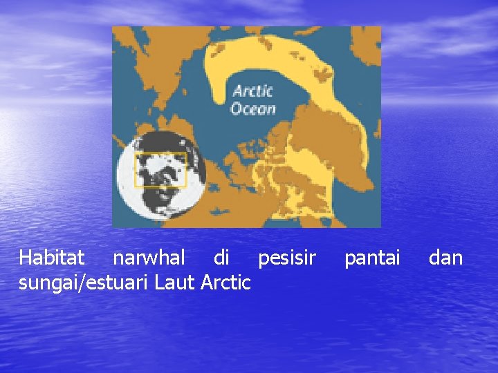 Habitat narwhal di pesisir sungai/estuari Laut Arctic pantai dan 